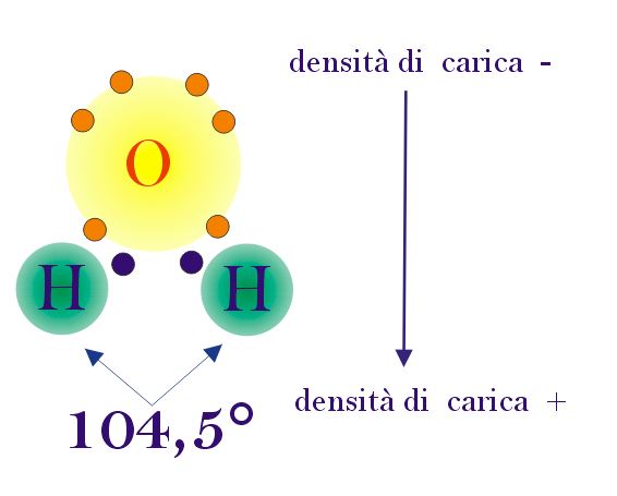 h2o dipolo