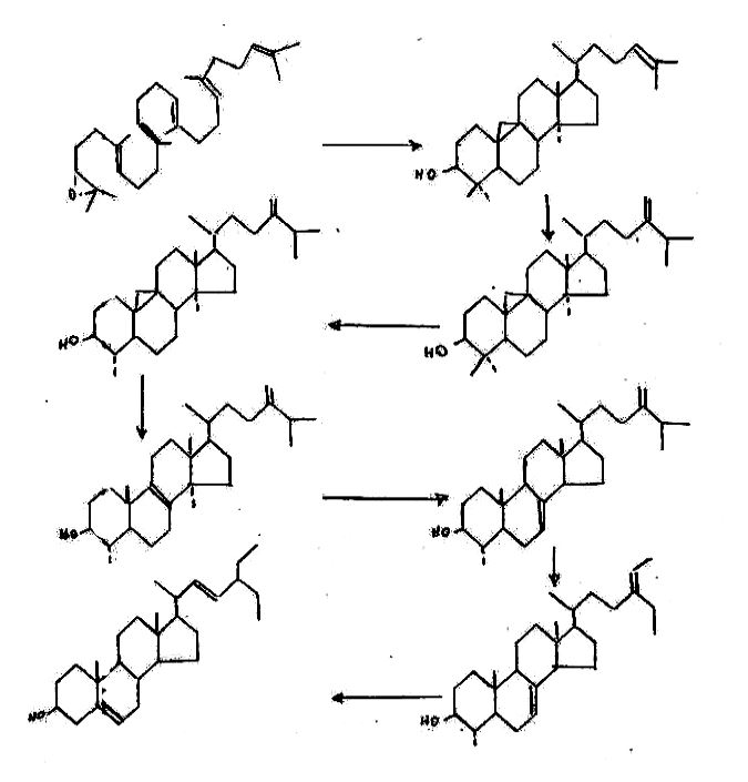 tesi 1