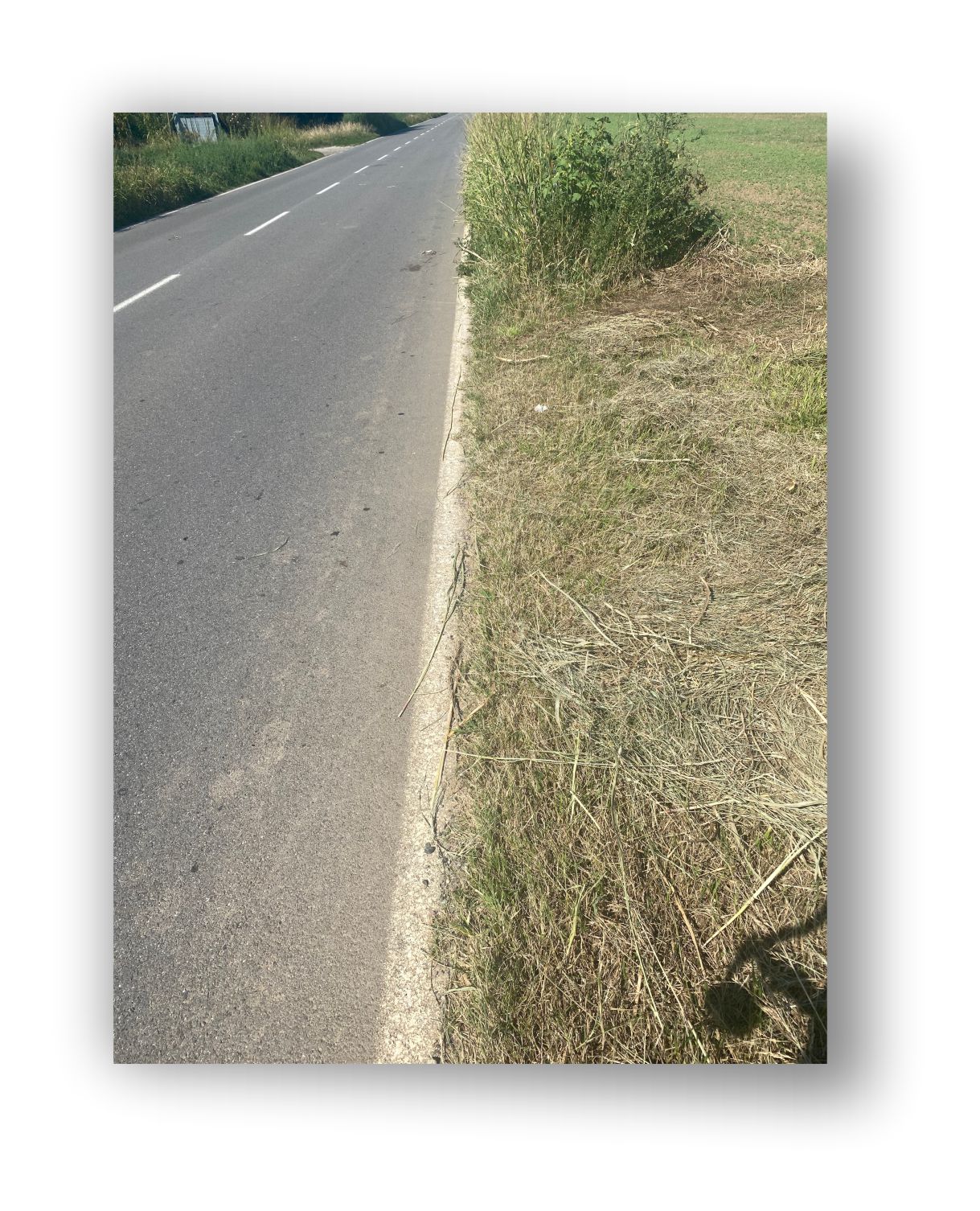 RADAR lato strada