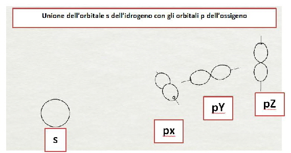orbitalis p
